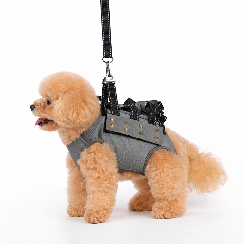 Dog leash, chest vest, anti-bite rivets