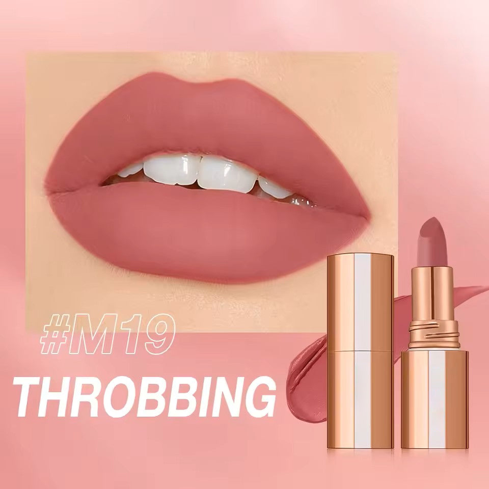 Matte Lipstick Long Lasting Waterproof Lip Stick