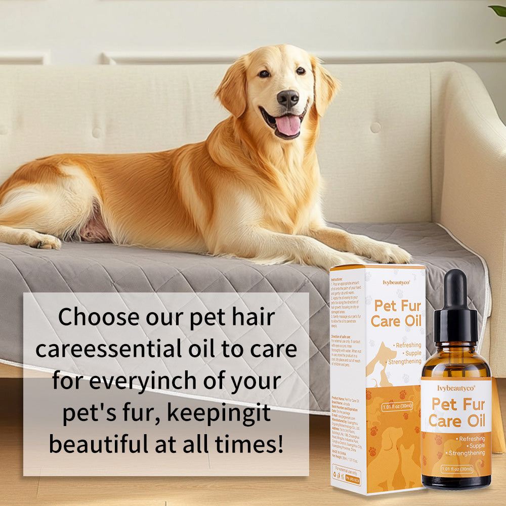 Ivybeautyco No-Rinse Pet Spray Brush with Hair Care Essential Oil