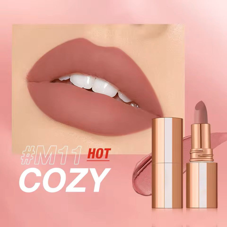 Matte Lipstick Long Lasting Waterproof Lip Stick