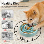 Slow Feeder Bowl