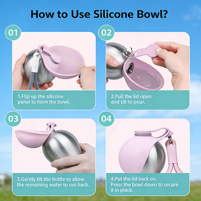 The Only Bottle Your Dog Needs