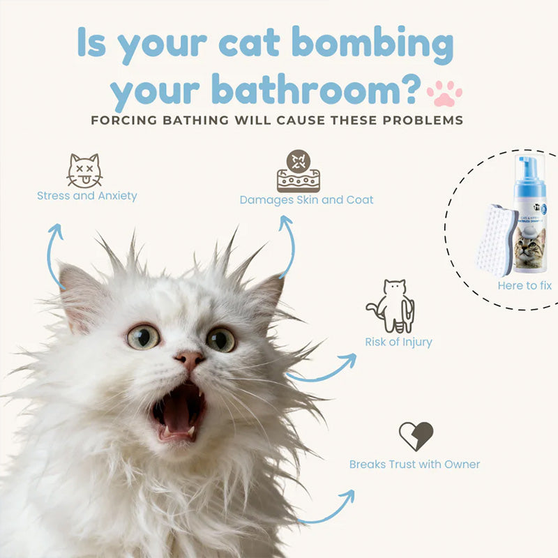 3-in-1 Pet Cleaning Kit – Foam, Spray & Grooming Brush for Deep Clean & Odor Control