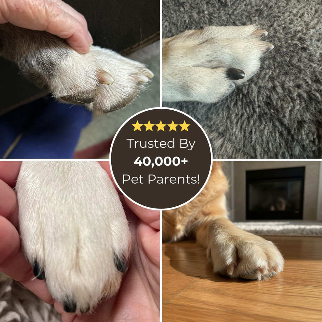 Complete Pet Nail Grooming Kit