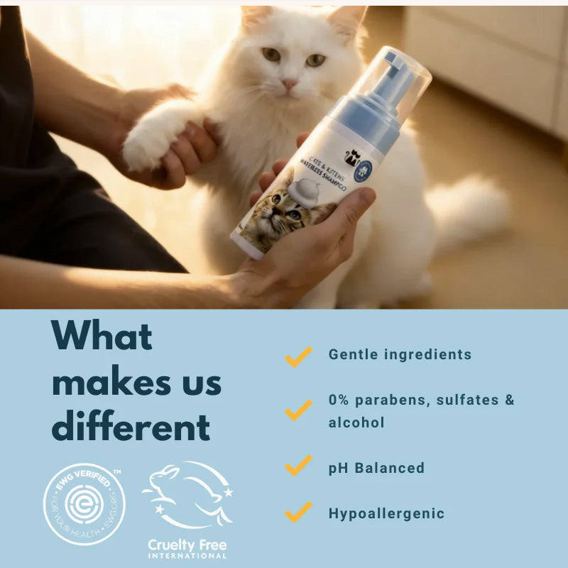 3-in-1 Pet Cleaning Kit – Foam, Spray & Grooming Brush for Deep Clean & Odor Control