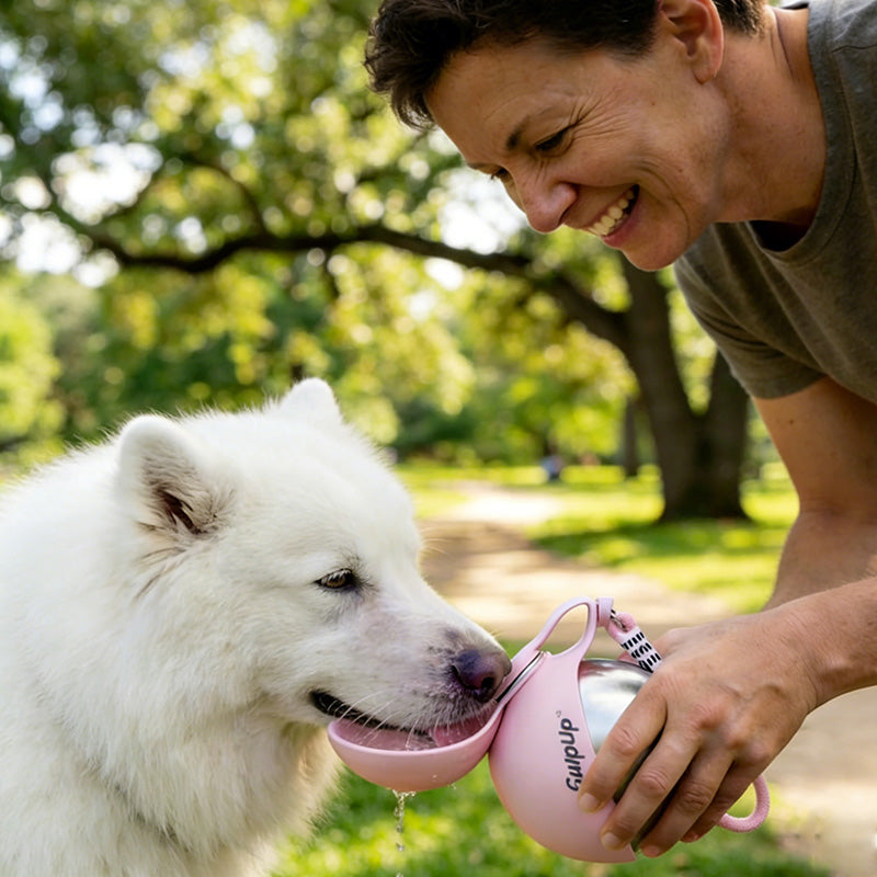 The Only Bottle Your Dog Needs