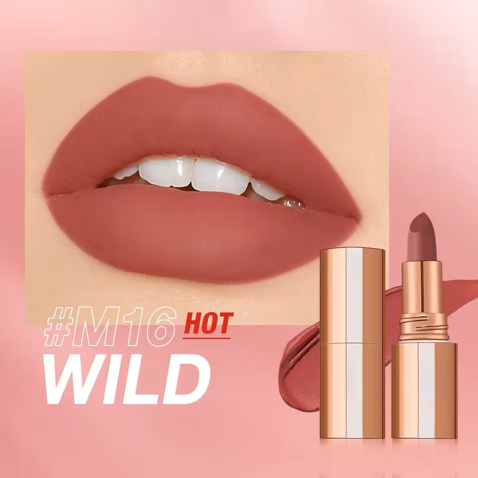 Matte Lipstick Long Lasting Waterproof Lip Stick
