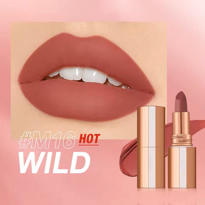Matte Lipstick Long Lasting Waterproof Lip Stick