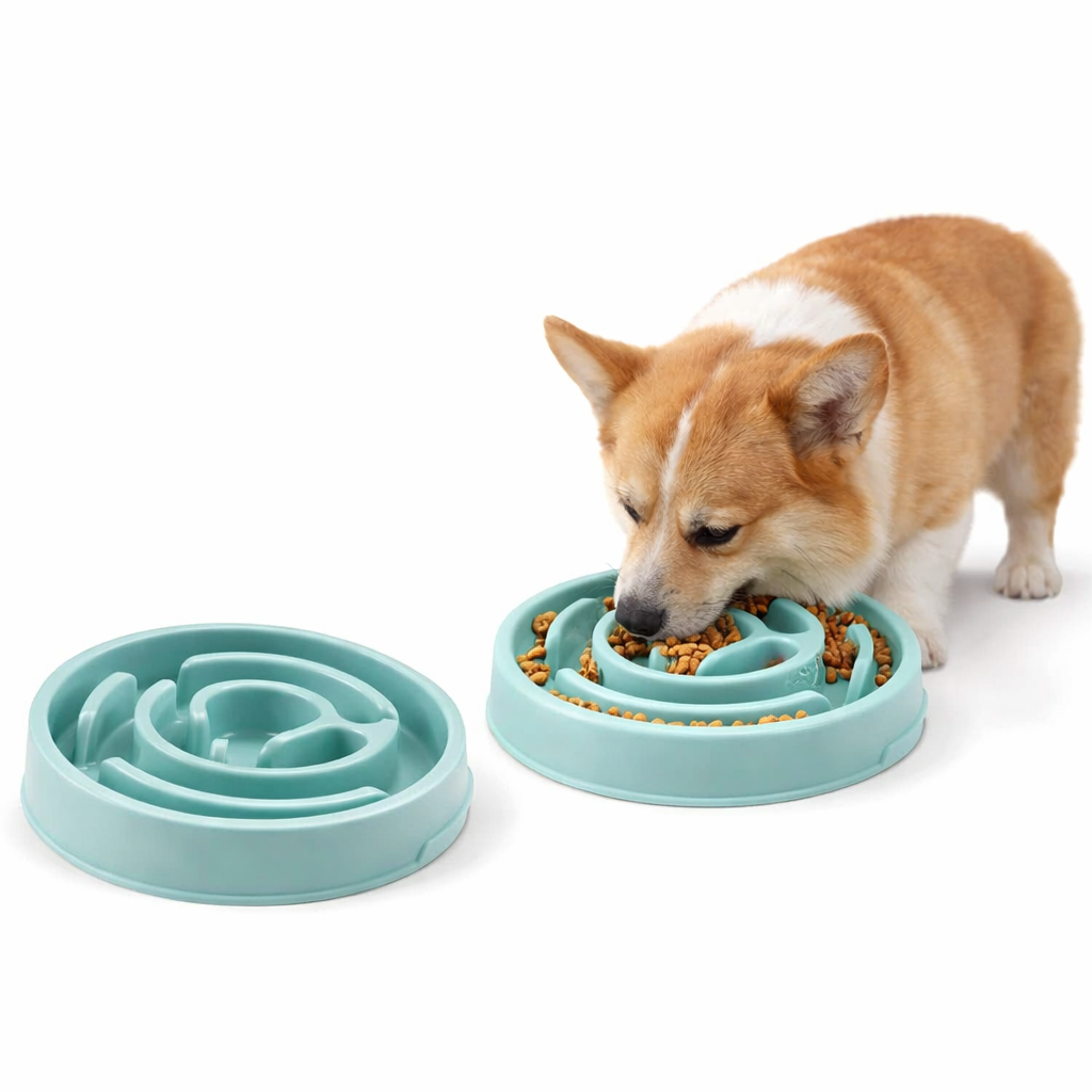 Slow Feeder Bowl